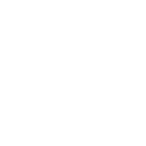 Shoe Co.